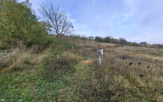 Teren intravilan de vânzare în Gârleni de Sus, Bacău – 6.000 mp - Poză 5