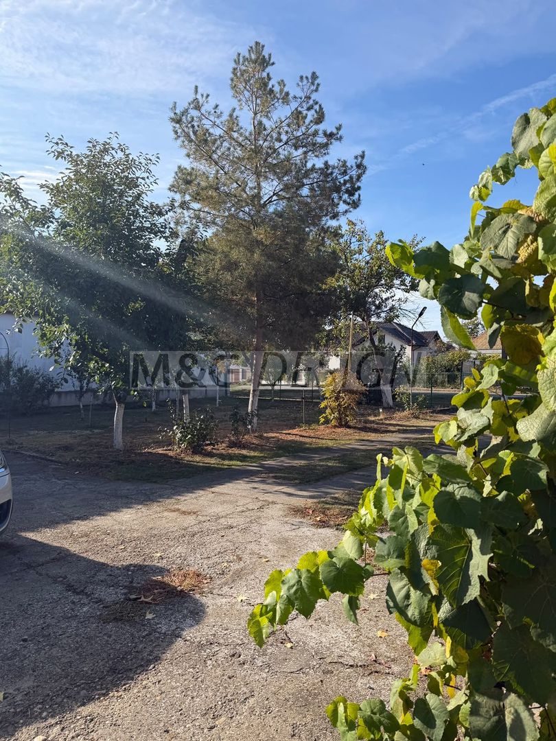 Casa nemteasca 4 camere Uivar - Poză 17