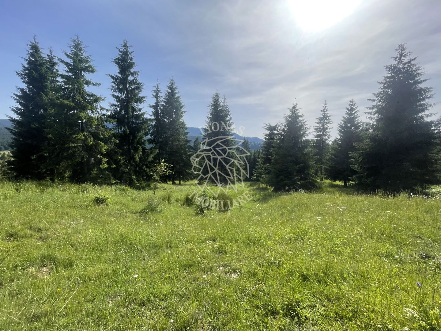 Teren intravilan 1000 mp cu utilitati-ideal cabana, pensiune-Colibita - Poză 1