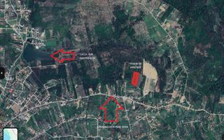 Sapient | Teren intravilan în Săldăbagiu de Munte 4.316 mp - Poză 1