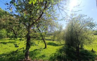 Descoperă căsuța ta de vis la poalele Munților Apuseni - Poză 18