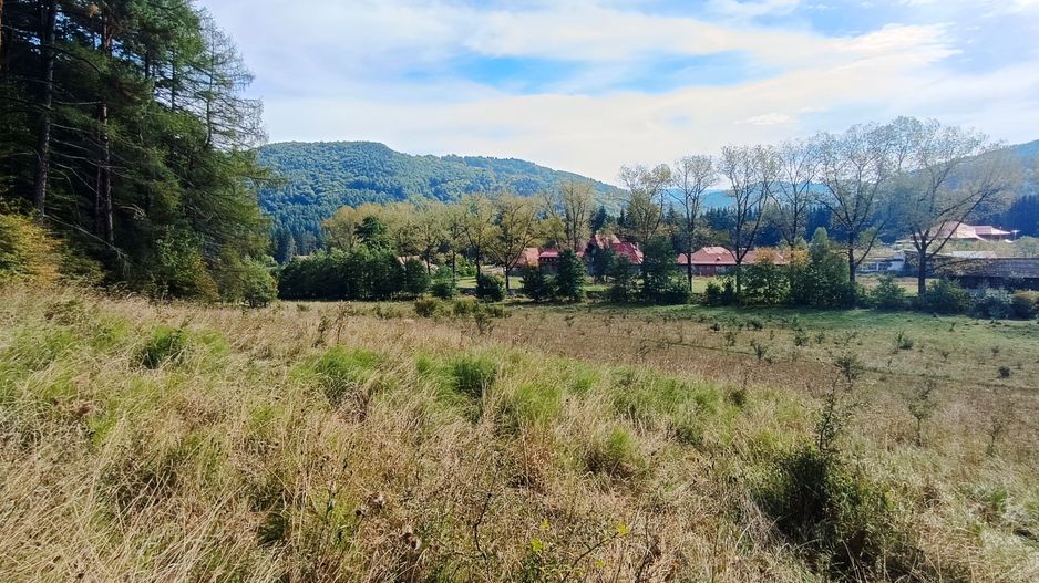 teren in zona Bradet-Sacele - Poză 3