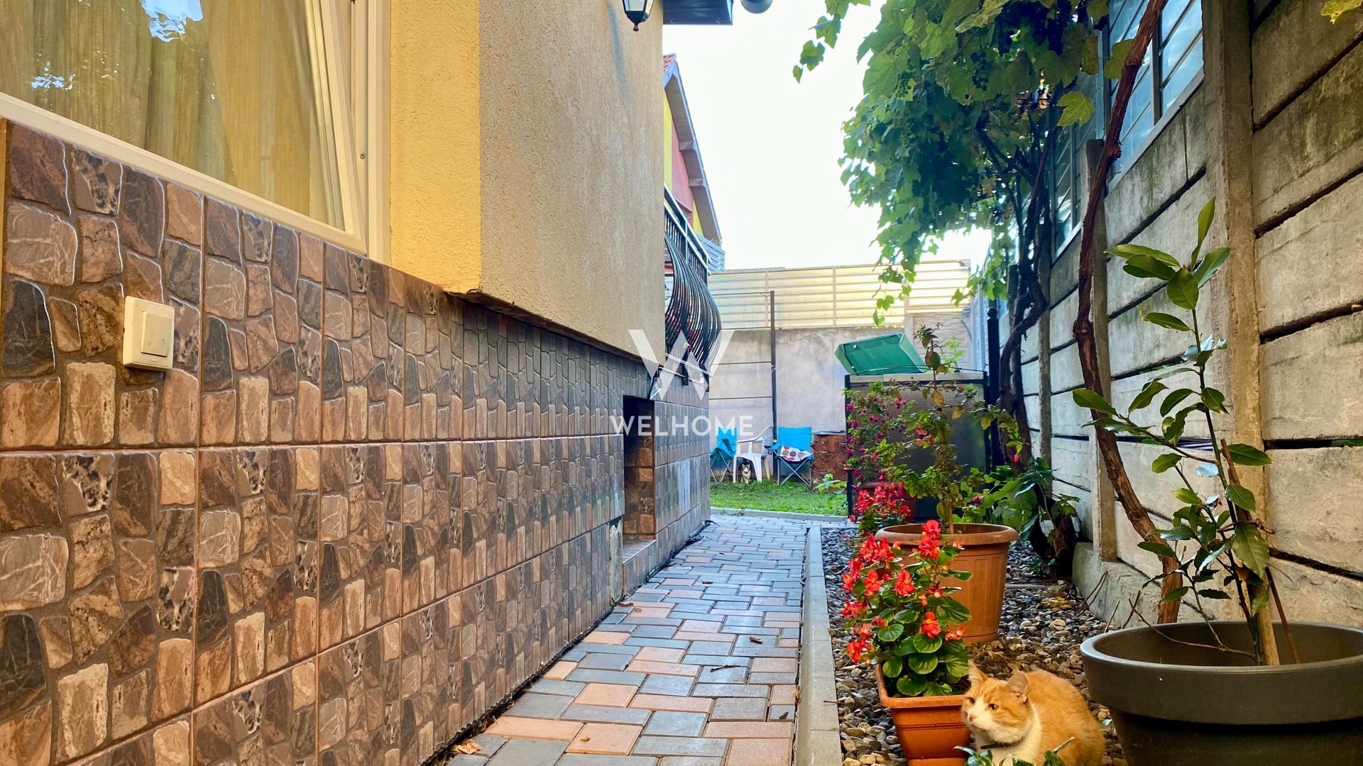 Chirie casa individuala, zona Trei Stejari. Sibiu - Poză 3