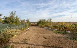 Casă modernă în Tâncăbești – 5 camere și natură la doi pasi - Poză 17