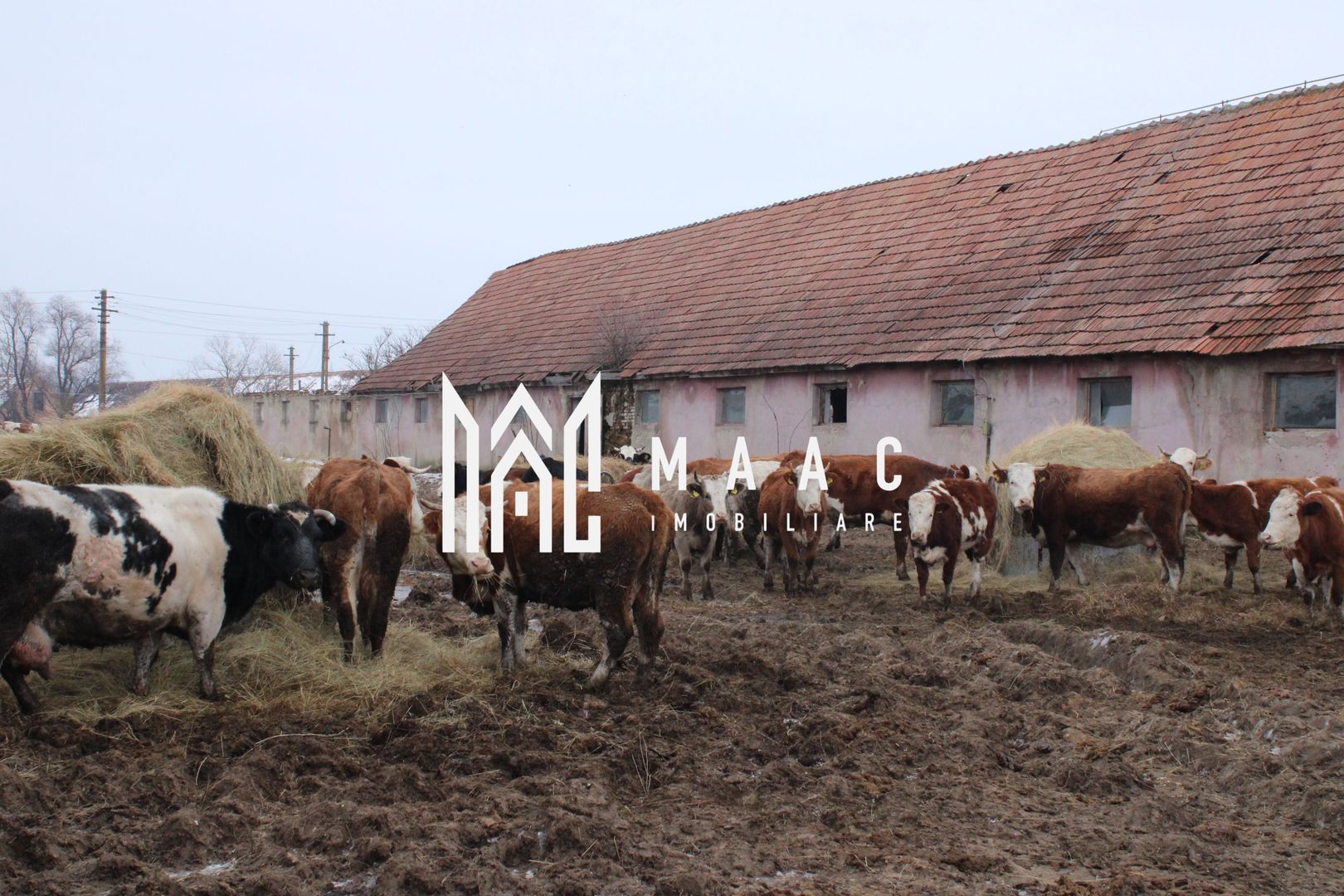 Ferma de Vânzare – Oportunitate Unică! - Poză 27