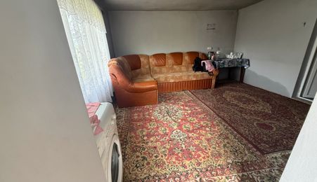 Casa cu teren generos și posibilitate de pescuit - Mica