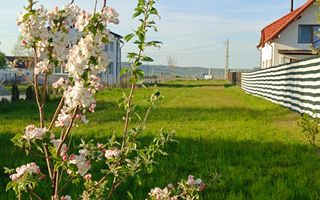 Teren Intravilan - Orlat jud. Sibiu - Poză 2