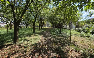 Vilă P+1 în Simeria central 320 mp, teren 1000 mp, toate utilitățile - Poză 12
