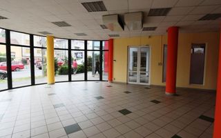 Spațiu comercial de 208mp de închiriat în zona Bogdanestilor - Poză 4