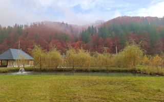 Proprietate cu potențial turistic în zona montană a Țării Lăpușului - Poză 7