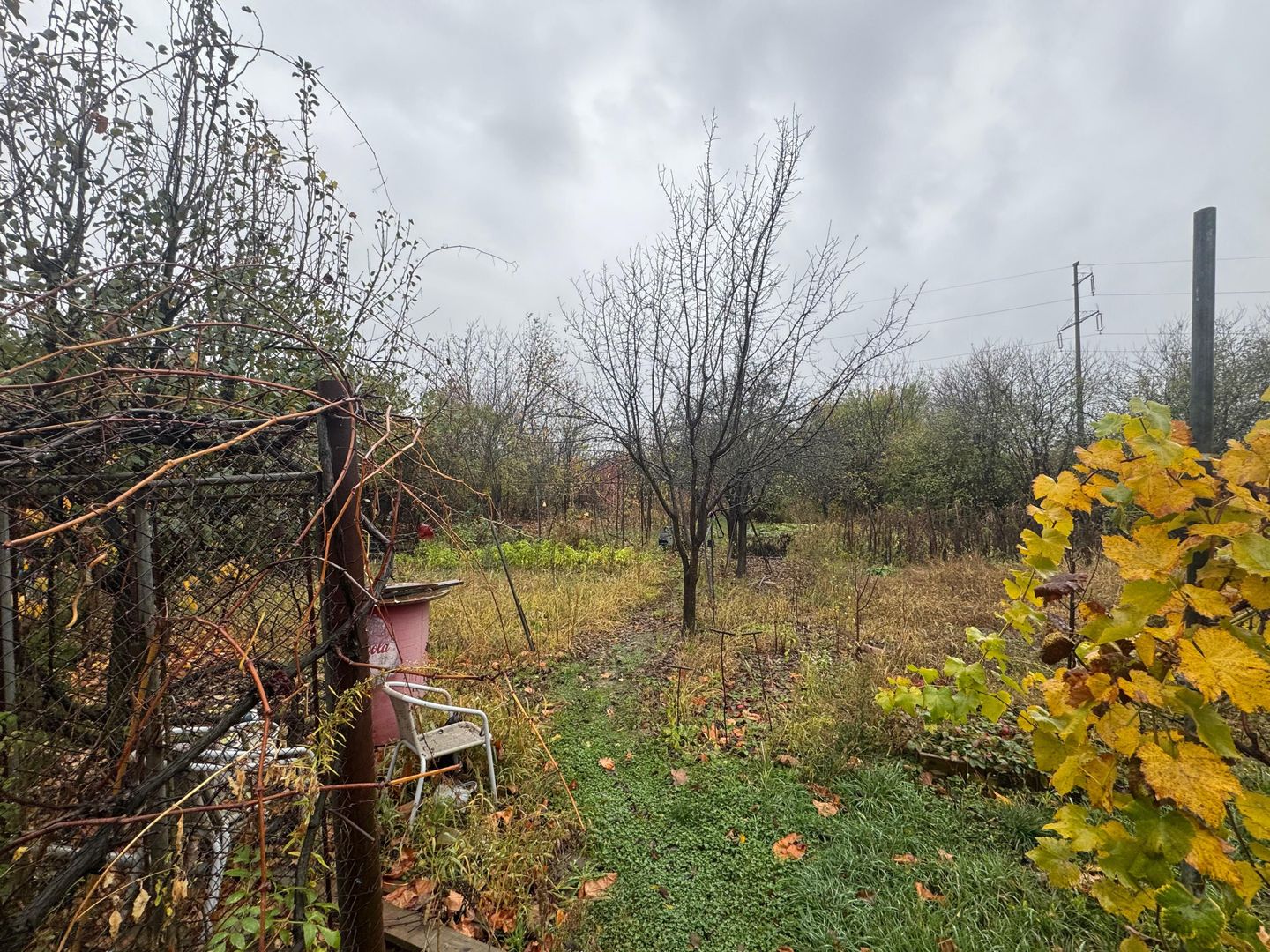 COMISION 0% | 2 Case Individuale | Zona Freidorf | 5 Camere | - Poză 23