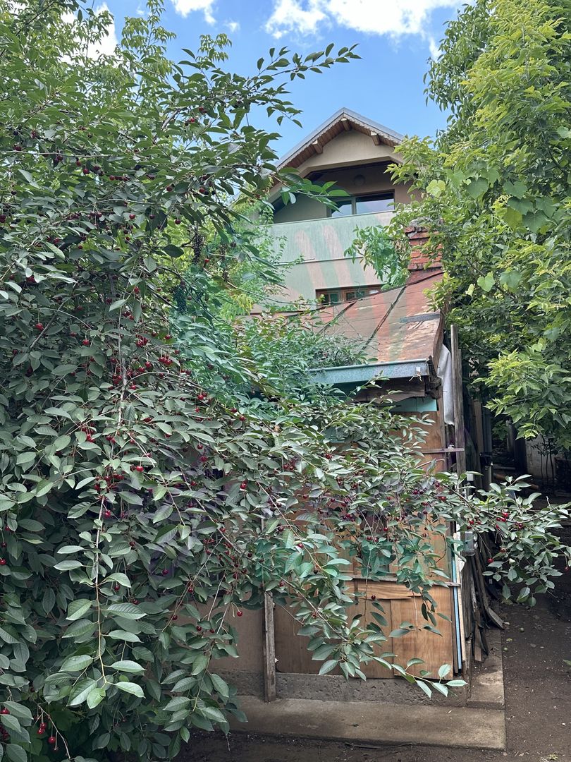 VILA cu potential de reamenajare- Teren 458 mp| - Poză 19