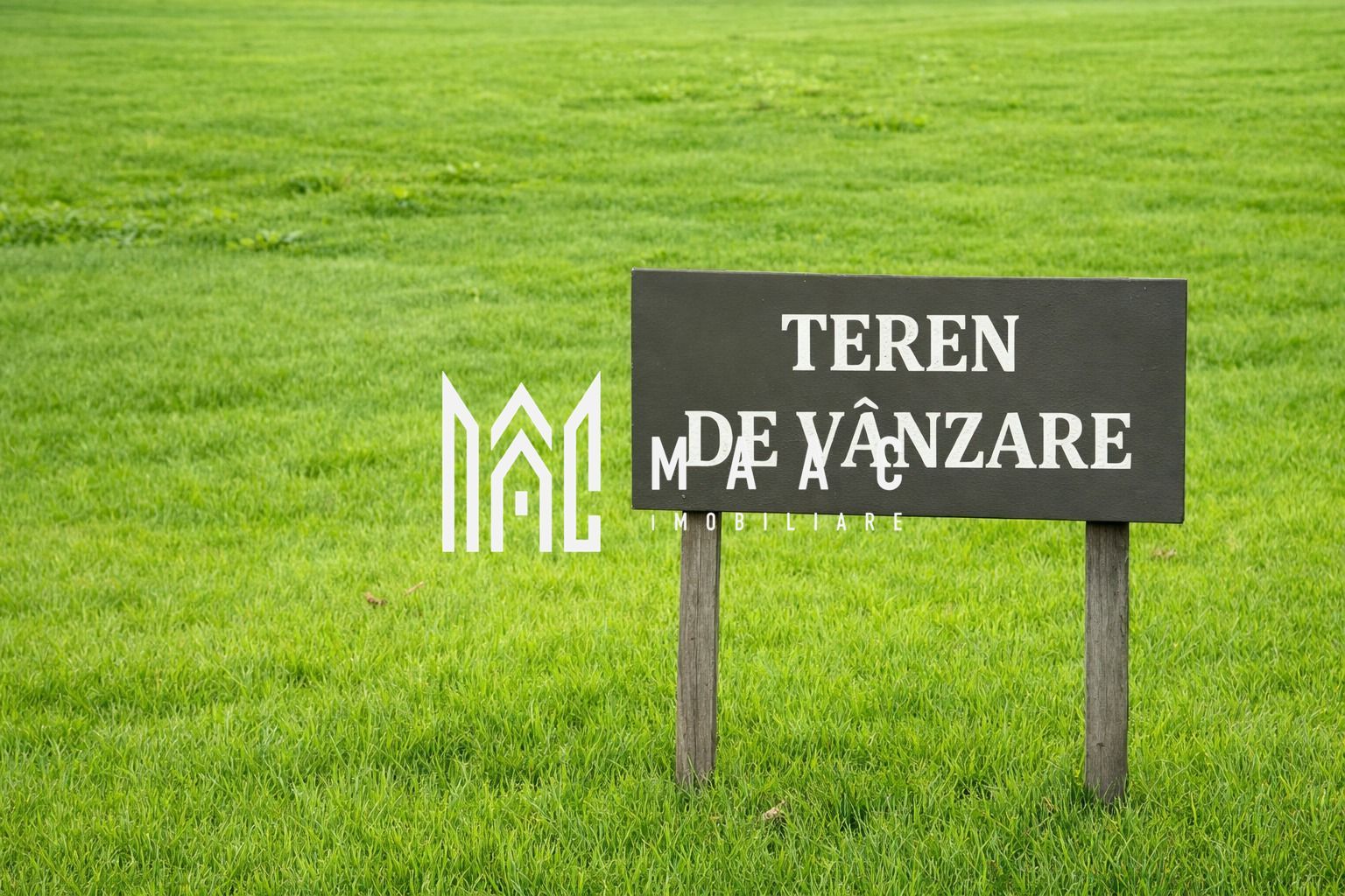 Teren Extravilan | 3.600 mp | Cristian - Poză 1