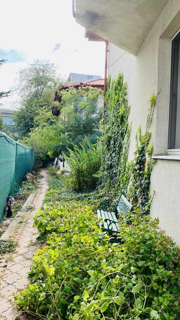 2 VILE CU TEREN DE 811 MP - Poză 9