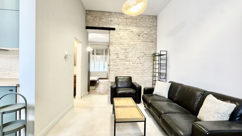 Apartament 2 camere, primitor si cochet, prima închiriere, Piața Maria - Poză 4