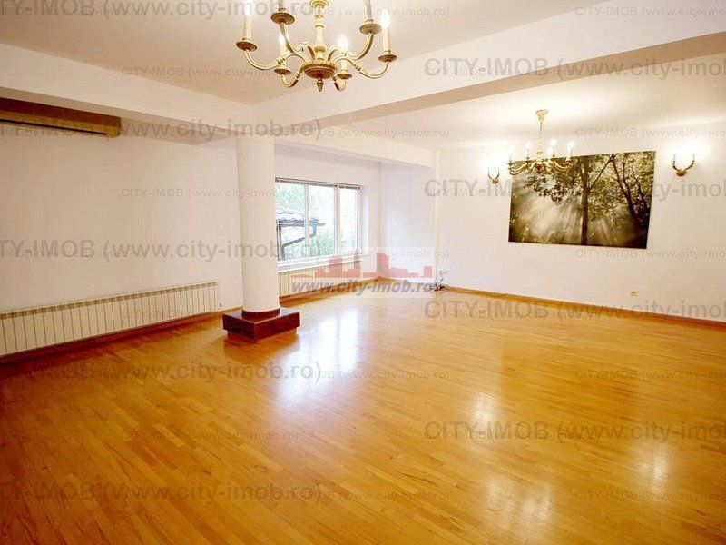 Inchiriere Vila Iancu Nicolae,  Nord,  Pipera - Poză 5