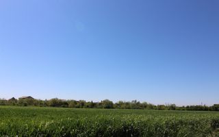 Teren 32000 mp Racari deschidere 82 mp - Poză 4