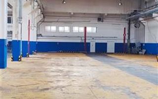 hale in parcul Roman sau tractorul - Poză 1