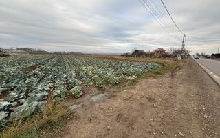 Teren 9.000 mp | Milișăuți | Intravilan | Front 38 m | 149.000 € - Poză 3