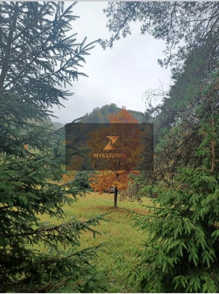 Teren de vis de vanzare in Remeti-Bihor-27p0 mp - Poză 8