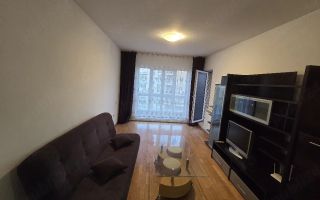 Apartament 2 camere de inchiriat, Iasi – Green Park Tatarasi - Poză 3