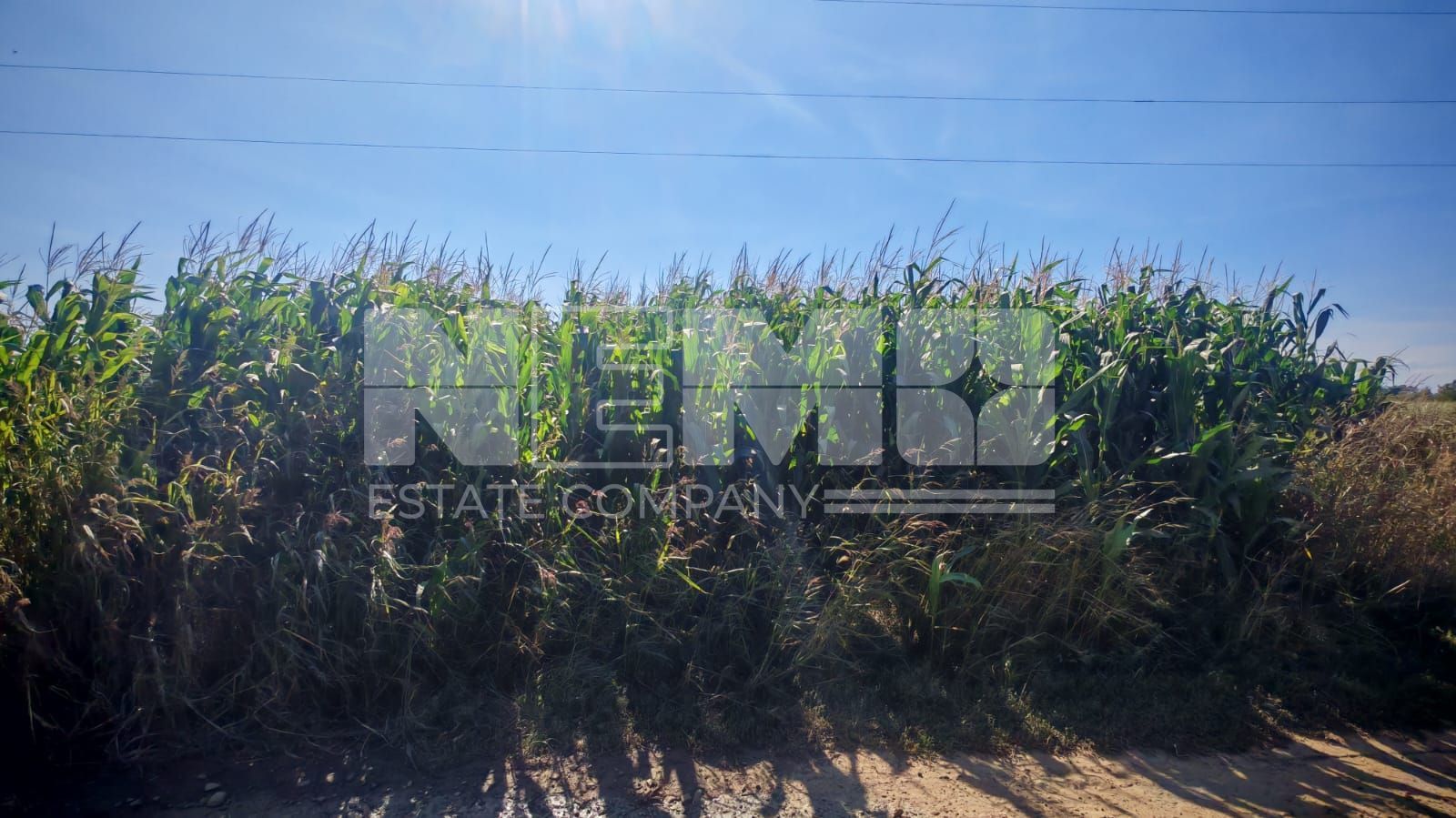 Teren generos | 45 Ari | Utilități în zonă | Deschidere la drum - Poză 6