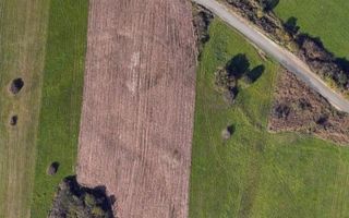 Teren 4.500 mp în Cristian – acces direct la drum național - Poză 1