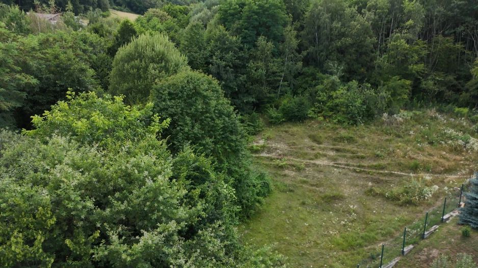 Teren intravilan 3000mp, Regim P+1+M, Sibiu, Tocile - Sadu - Poză 9