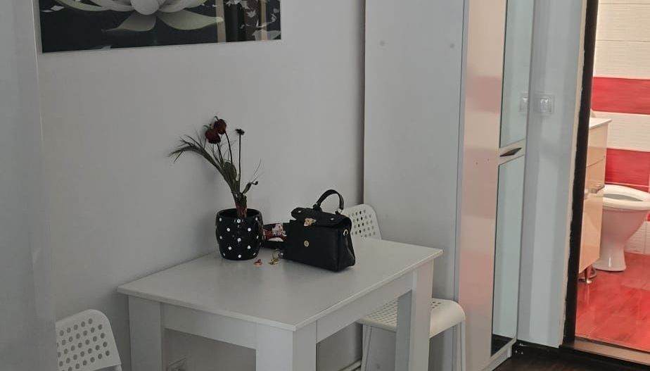 2 camere langa metrou Nicolae Grigorescu, renovat, acces separat - Poză 7