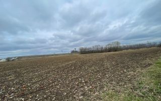 TEREN INTRAVILAN | 50 ARI | ZONA PERIFERICA RADAUTI - Poză 6