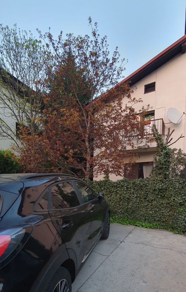 Vanzare vila 5 camere | Langa padure | Bucuresti | Baneasa - Poză 15