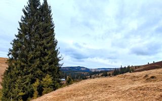 Teren 9511 mp + casa, intravilan, în Beliș Munții Apuseni, Cluj - Poză 1