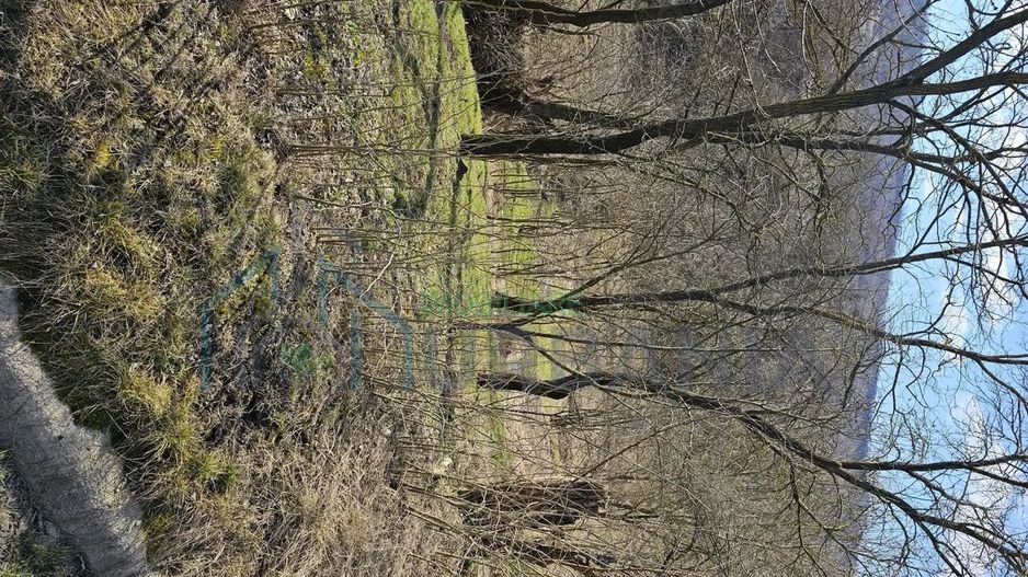 Teren intravilan sat Pocreaca com Schitul Duca Iasi - Poză 2