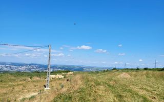 Teren intravilan de vânzare în satul Păun, comuna Bârnova – loturi de 1.000 mp și 870 mp - Poză 6
