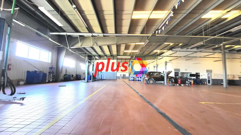 Showroom cu hală de depozitare - 6230 mp #Plus-imo.ro - Poză 7