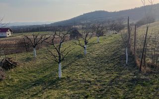 Teren 3100 mp-livada-ideal casa-Mititei - Poză 5