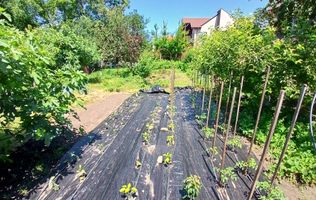 Teren intravilan 402 mp în Tecuci – zonă liniștită, deschidere 16 ml