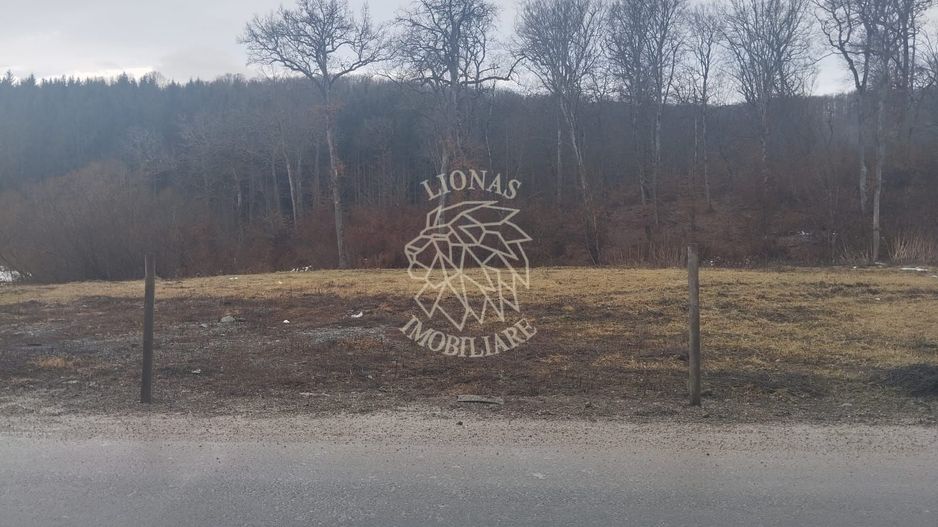 Teren 500 mp cu utilitat- Zona Drumul Tarpiului - Poză 1