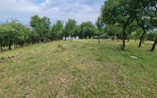 Teren de vânzare | Suprafață 10.040 mp | 2.500 € / ar | Strada Nucului - Poză 8