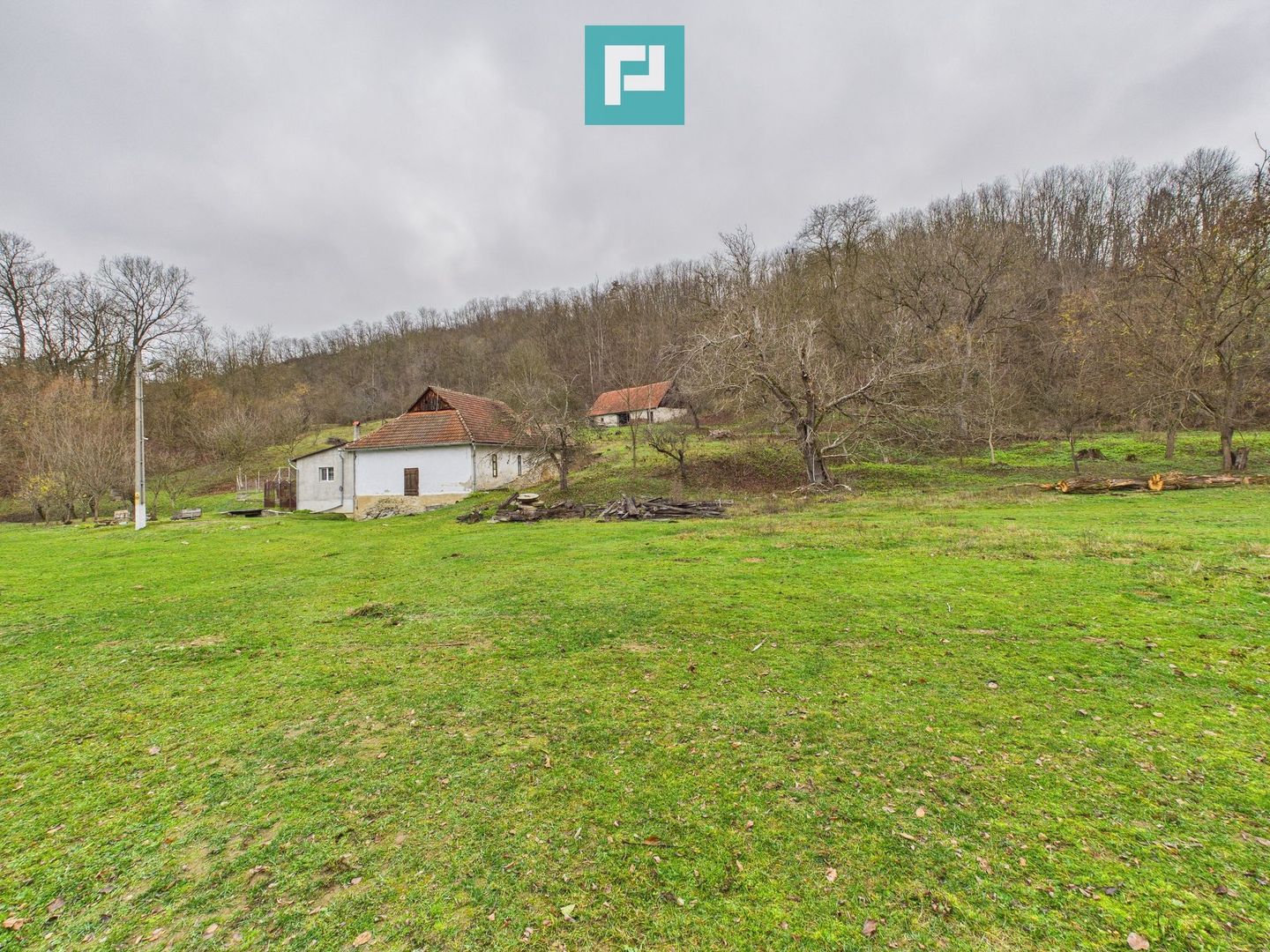 Casă cu teren de 24.679,73 mp, în Hălmagiu, Arad - Poză 8