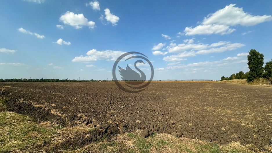Teren extravilan de vanzare | 9882mp | Berceni - Prahova | Comision 0% - Poză 5