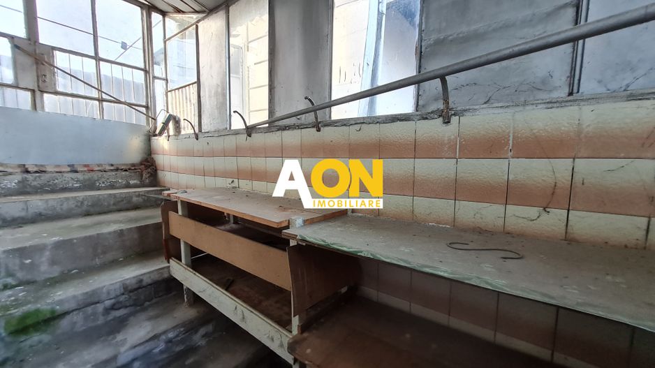 Casa 3 Camere + Demisol, Teren 287 mp, Zona Cetate - Poză 20