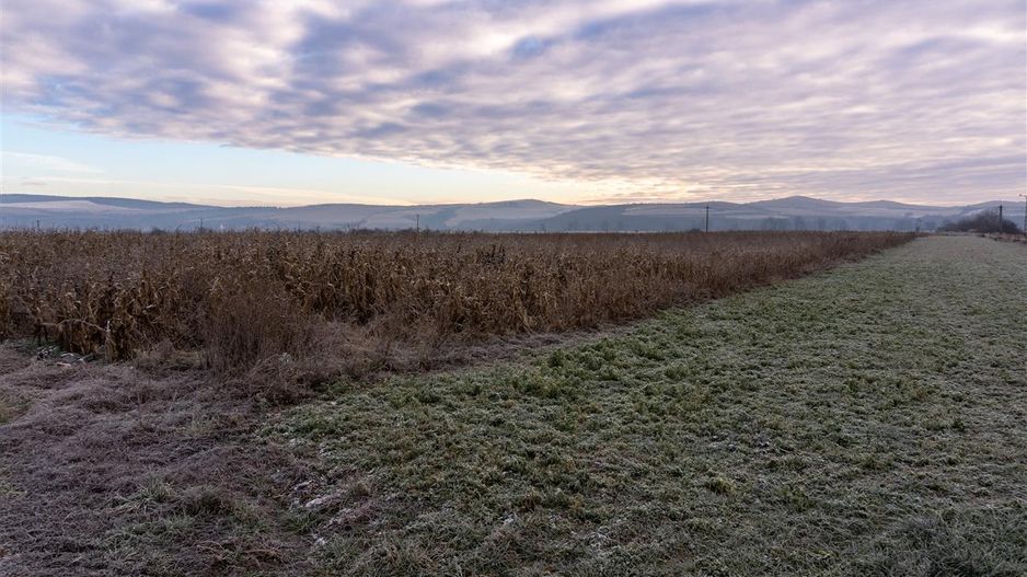 5.000 mp, teren extravilan, conditii apreciabile, Bod, Brasov - Poză 2