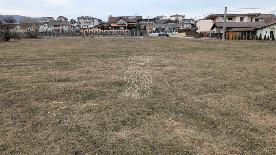 Teren intravilan 5000 mp cu utilitati-ideal case-Zona Valea Rusului - Poză 3