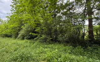 Teren plat-intravilan -3800 mp, cu pădurice și ieșire la râu! - Poză 30