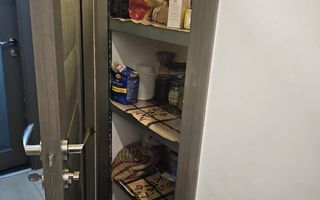 Apartament de familie, trei camere, Calea Mosilor - Poză 11