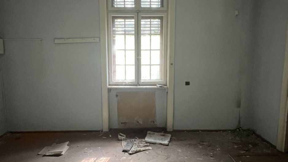 VILA INDIVIDUALA CISMIGIU | INTR. TEMISANA - Poză 18