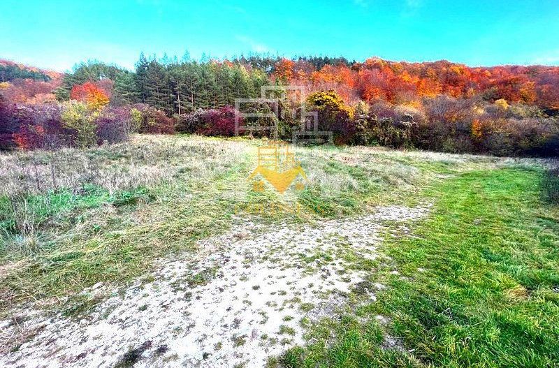 Teren intravilan, 1500 mp, zona Roata Faget - Poză 3