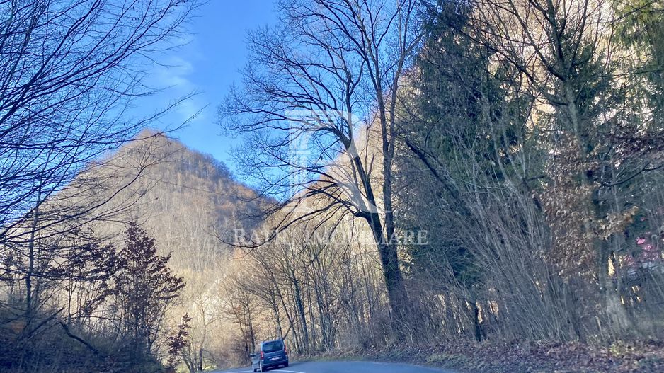 OPORTUNITATE DE INVESTIȚIE | TEREN INTRAVILAN | 1.500 MP | APROAPE DE APĂ | BULZ - Poză 10