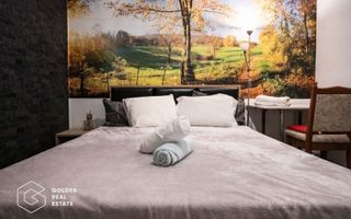 Vilă exclusivistă cu funcțiuni mixte, în Sânandrei- potențial investițional - Poză 12